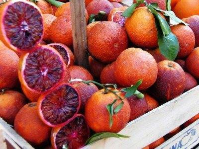Апельсин selo.guru — интернет портал о сельском хозяйстве