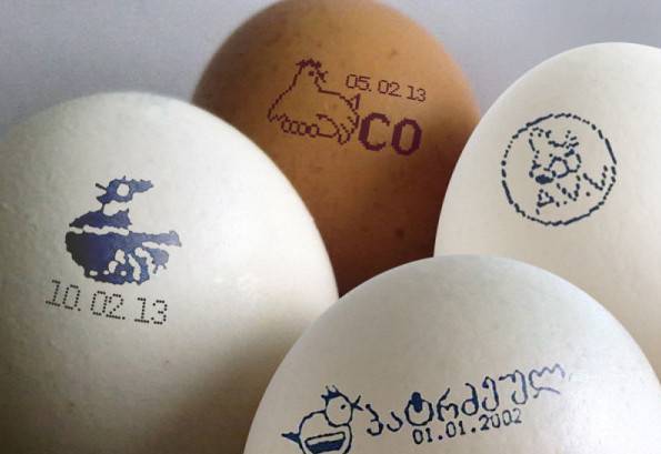 Детально о классификации куриных яиц по категориям согласно гост — маркировка, вес без скорлупы сырого и вареного