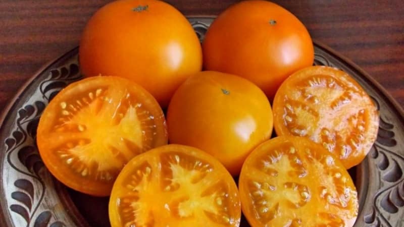 Описание сорта томата оранжевое чудо, его характеристика и отзывы — знакомим с вопросом