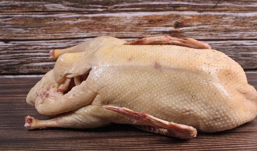 Мясо утки — польза и вред для организма | польза и вред
