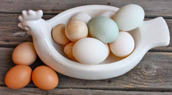 Гусиные яйца: польза и вред для человека, как готовить и употреблять