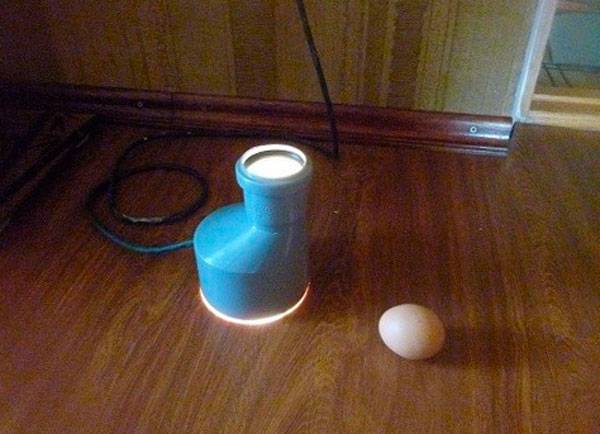 Как сделать овоскоп для яиц своими руками