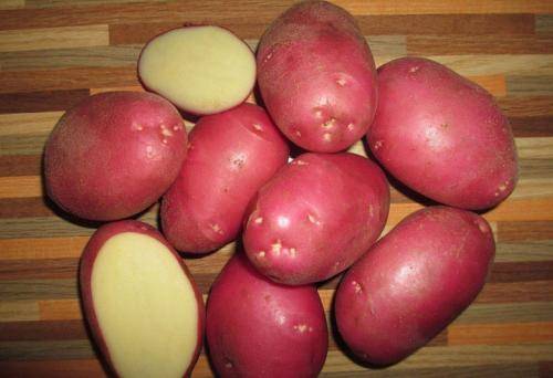 Характеристика, описание и агротехника выращивания сорта картофеля «гранада»