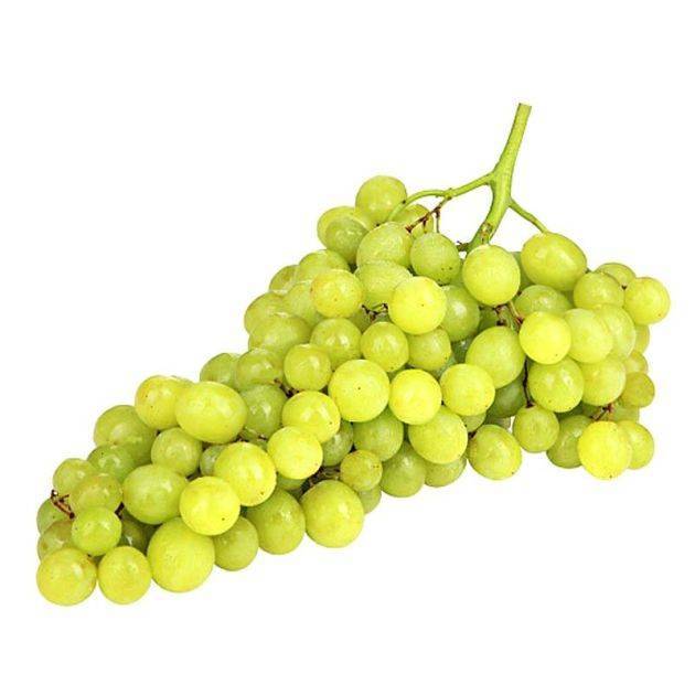 Сорт винограда кишмиш черный: что нужно знать о нем, описание сорта, отзывы