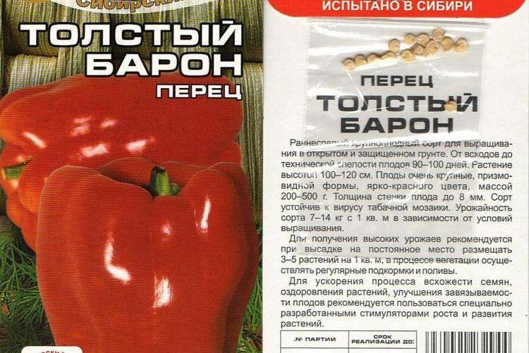 Как выращивать болгарский перец в теплице в открытом грунте дома