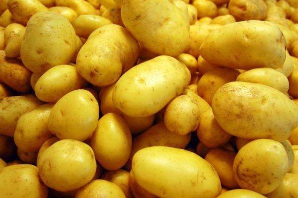 Винета картофель: особенности