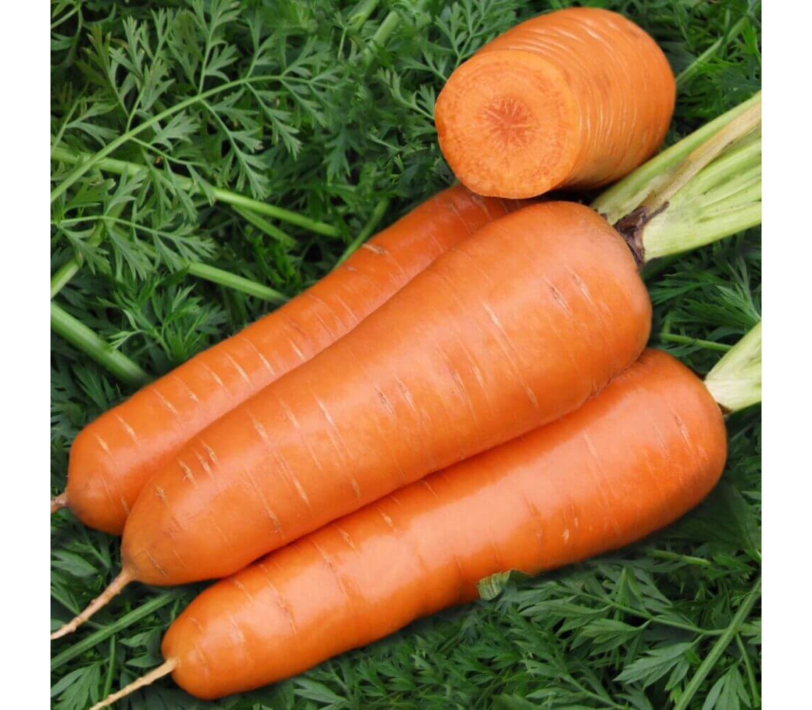 Какие витамины содержатся в моркови?