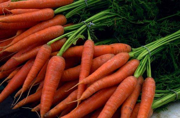 Как хранить морковь в погребе зимой?