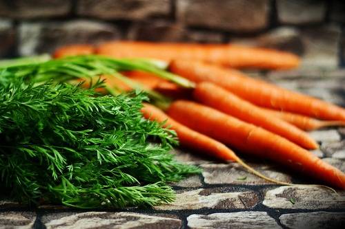 Морковь во сне – символ благополучия и крепкого здоровья
