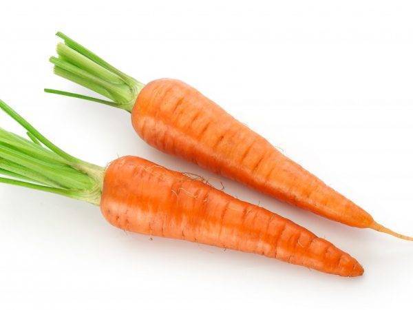 Сколько весит морковь среднего размера - мыдачники
