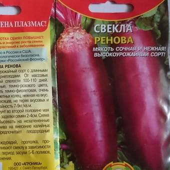 Лучшие сорта свеклы для выращивания в россии