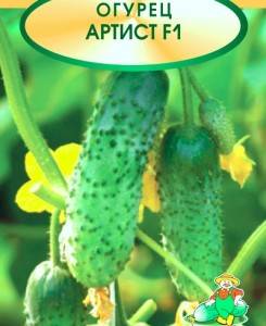Огурец атос f1: описание сорта, фото, отзывы садоводов