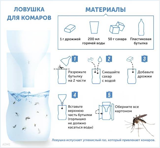 Избавиться от комаров – легко! лимон и гвоздика против надоедливых насекомых