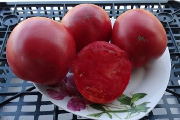 Урожайные помидоры сибирское чудо – особенности выращивания