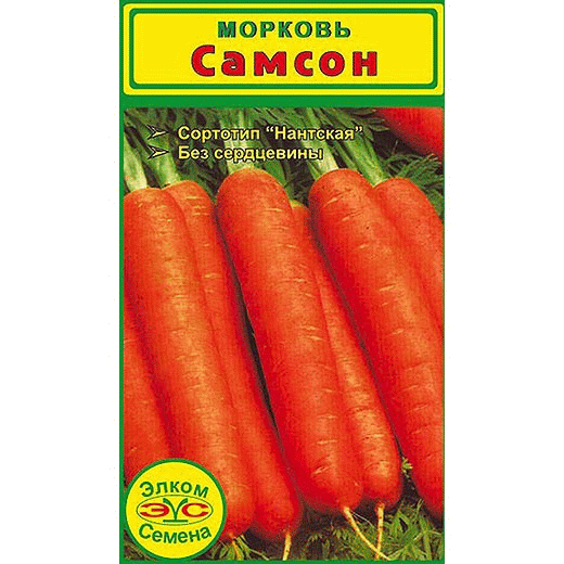 Морковь "самсон": характеристика и описание сорта, отзывы, фото