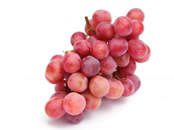 Сорта винограда для средней полосы: минский розовый