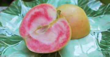 Сорт яблок розовый жемчуг фото и описание. отличительные особенности