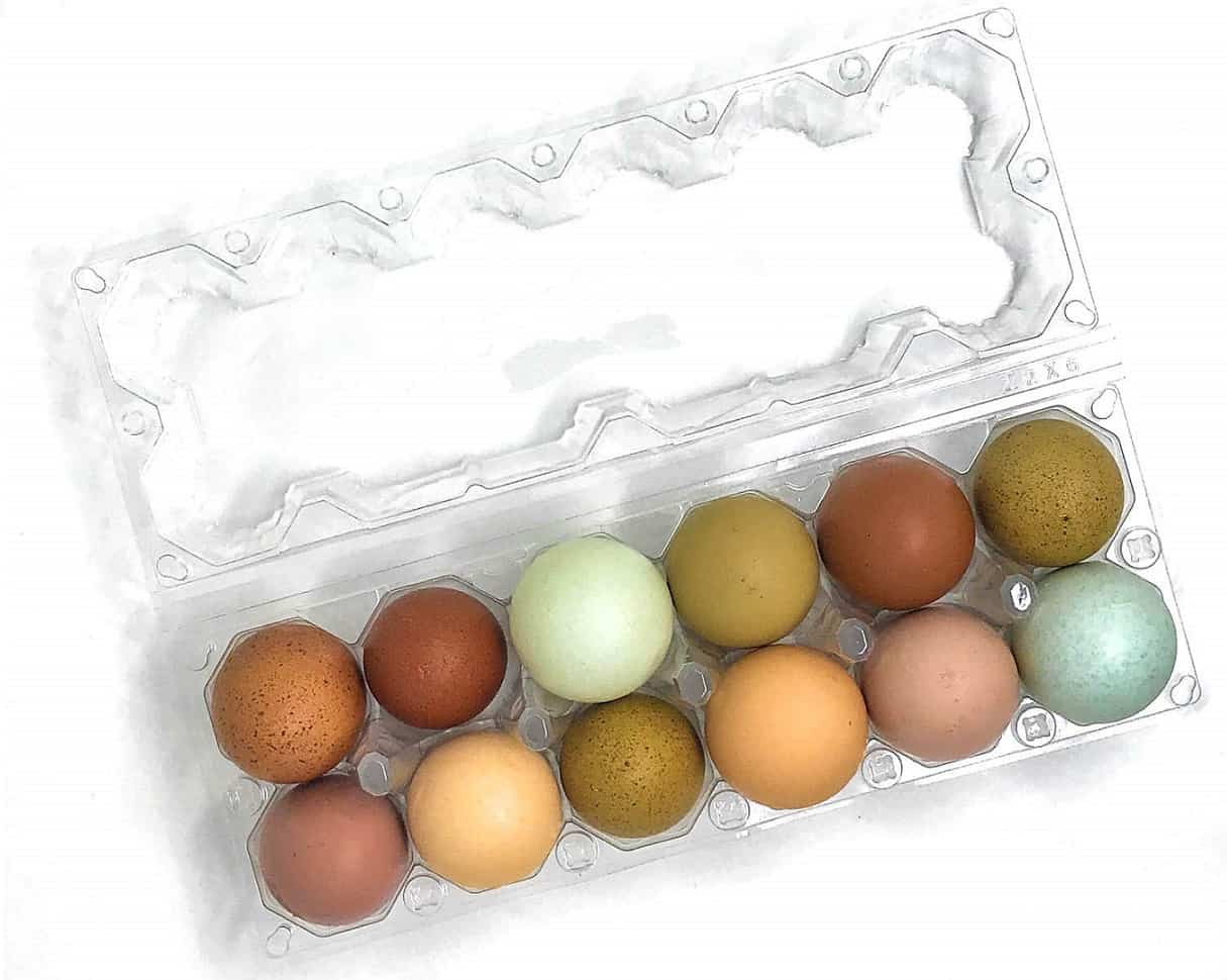 Сколько весит куриное яйцо без скорлупы: описание