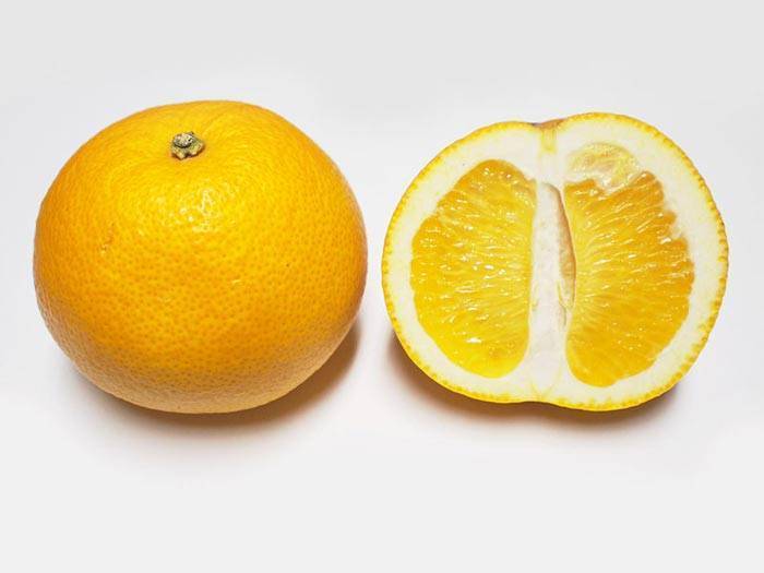Оранжевый лимон: как называется