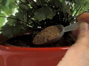Дрожжевая подкормка для рассады и растений — рецепты приготовления