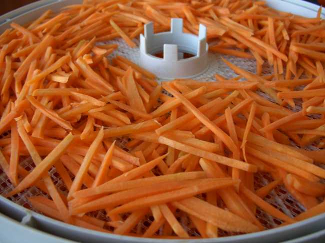 Сушка моркови на зиму в домашних условиях: лучшие рецепты