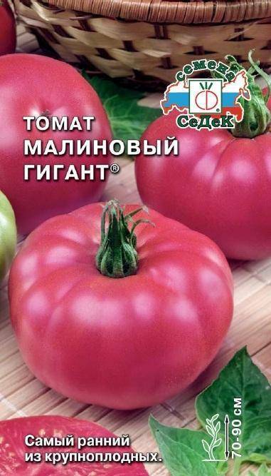 Разновидности томатов сорта Гигант