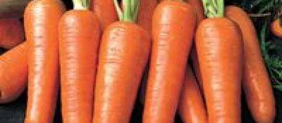 Какие витамины в моркови: что и сколько в ней содержится