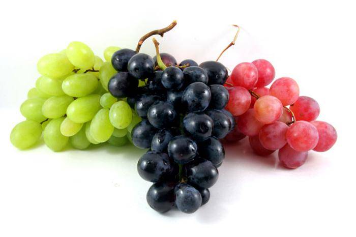 Борьба с клещом на винограде