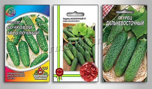 Огурец брейк: характеристика и описание сорта, выращивание и урожайность с фото