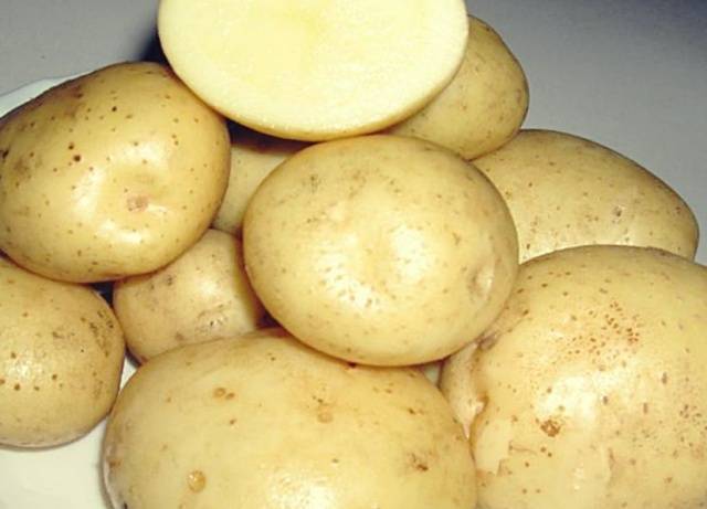 Картофель - бриз: описание сорта, характеристика, фото, отзывы