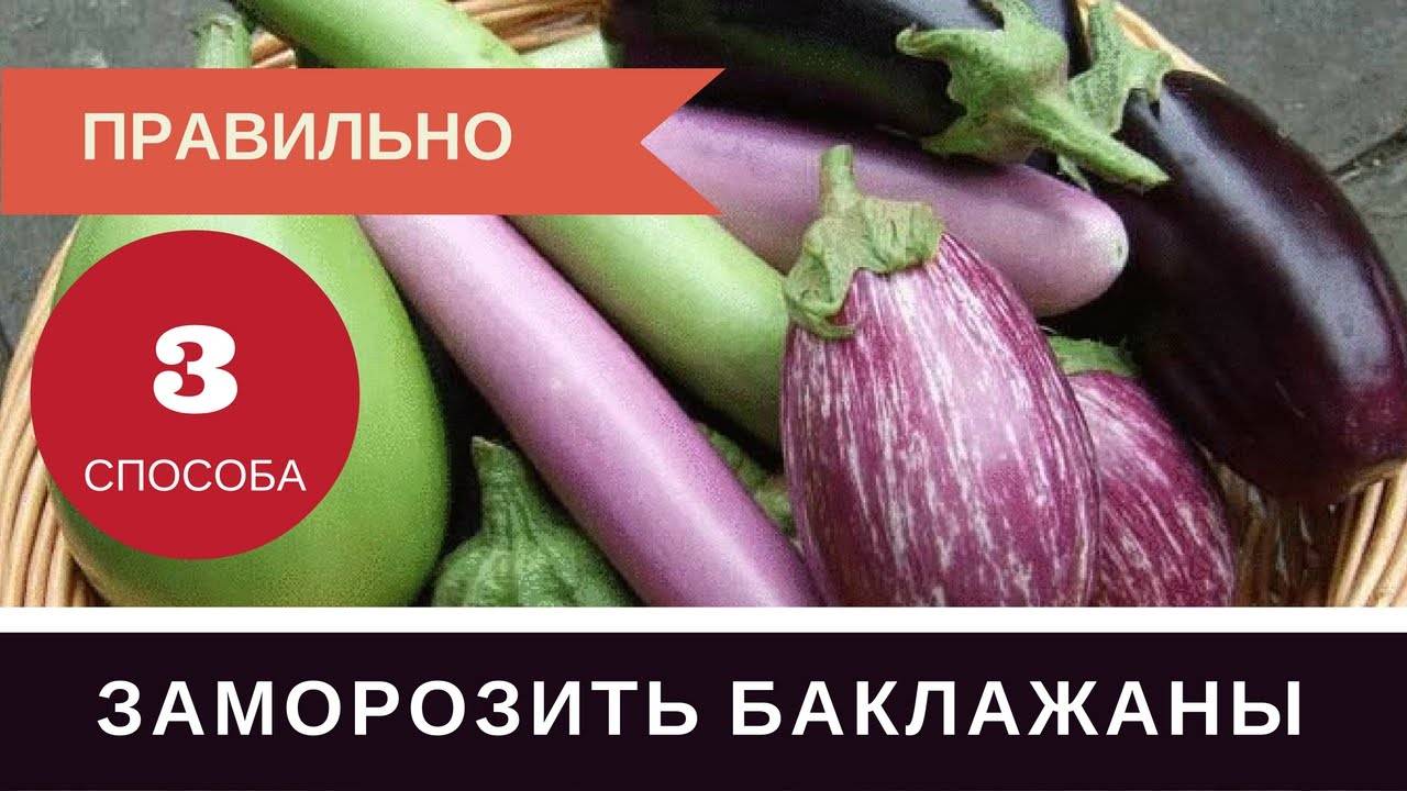 Распространенные методики хранения баклажанов в домашних условиях