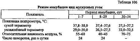 Таблица инкубатора индоуток