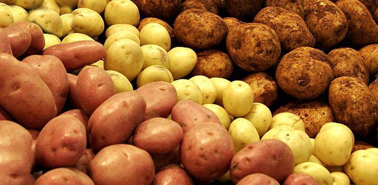 Какое удобрение лучше для картофеля и чем подкармливать его при посадке в лунку и после этого?