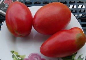 Перцевидные сорта томатов - журнал "совхозик"