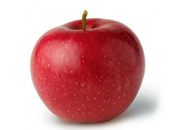 Сорт яблок солнышко описание, фото, отзывы