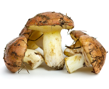 Сколько варить грибы перед жаркой и зачем это нужно делать?