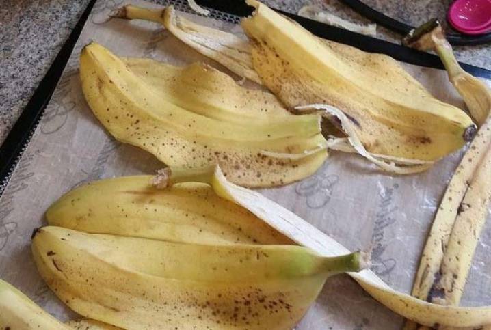 Удобрение из банановой кожуры: описание и способы приготовления