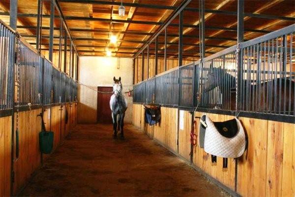 Как сделать стойло для лошади: бокс, размеры, пол, стены и двери
