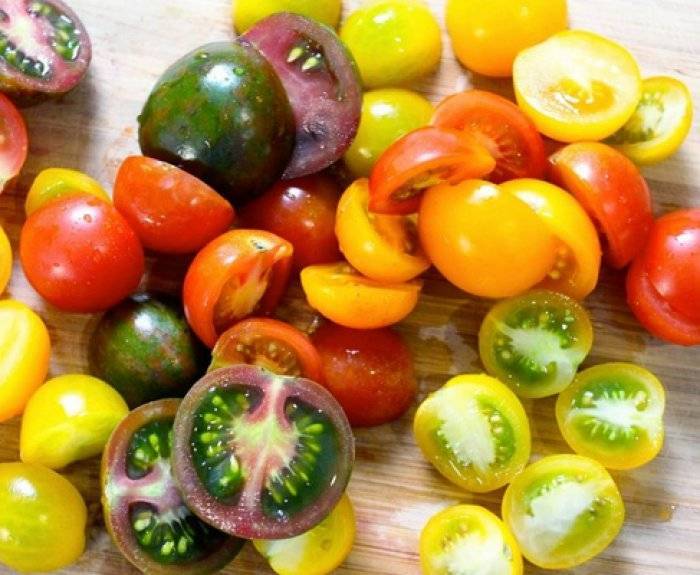 Сорта томатов для открытого грунта устойчивые к фитофторе