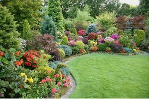 Декоративные кустарники для сада: список и особенности выращивания
