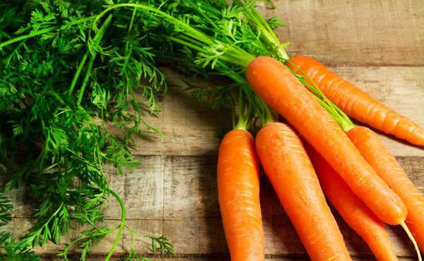 Как обрезать морковь для хранения на зиму