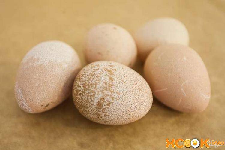 Польза и вред яиц цесарки