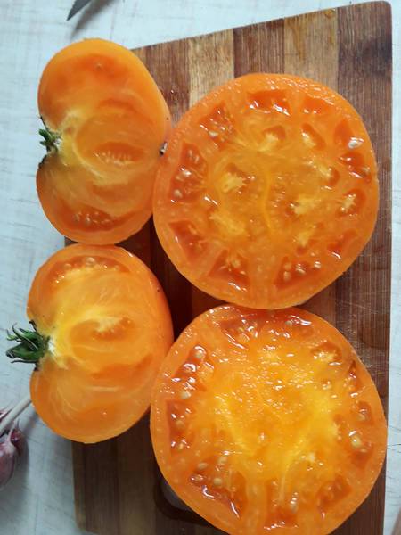 Томат «амана оранж»: описание сорта и рекомендации по выращиванию