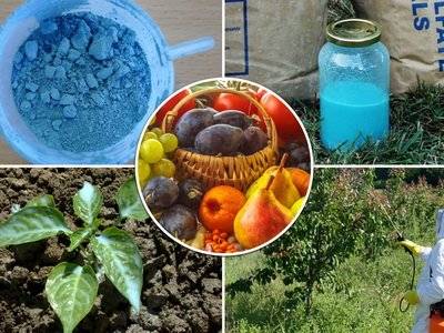 Средства защиты растений от болезней и вредителей: классификация