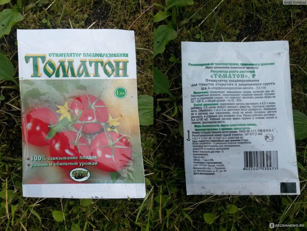 "томатон" - стимулятор плодообразования, инструкция по применению, отзывы, цена, как обрабатывать