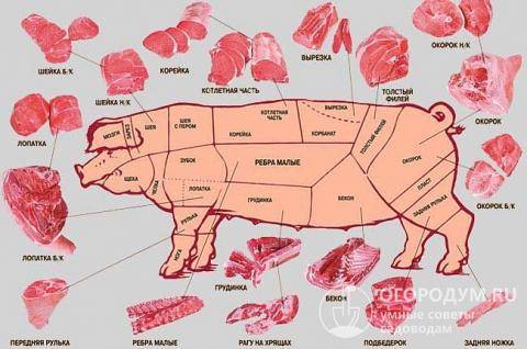 Схема разделки свиной туши