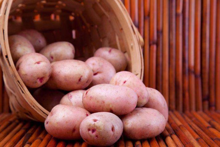 Картофель "киви": описание сорта, фото, отзывы