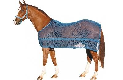 Как сшить попону для лошади своими руками: шерстяное покрывало, дождевая полупопона