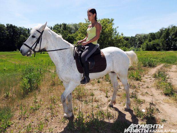 Обучение и подготовка лошади к соревнованию по выездке