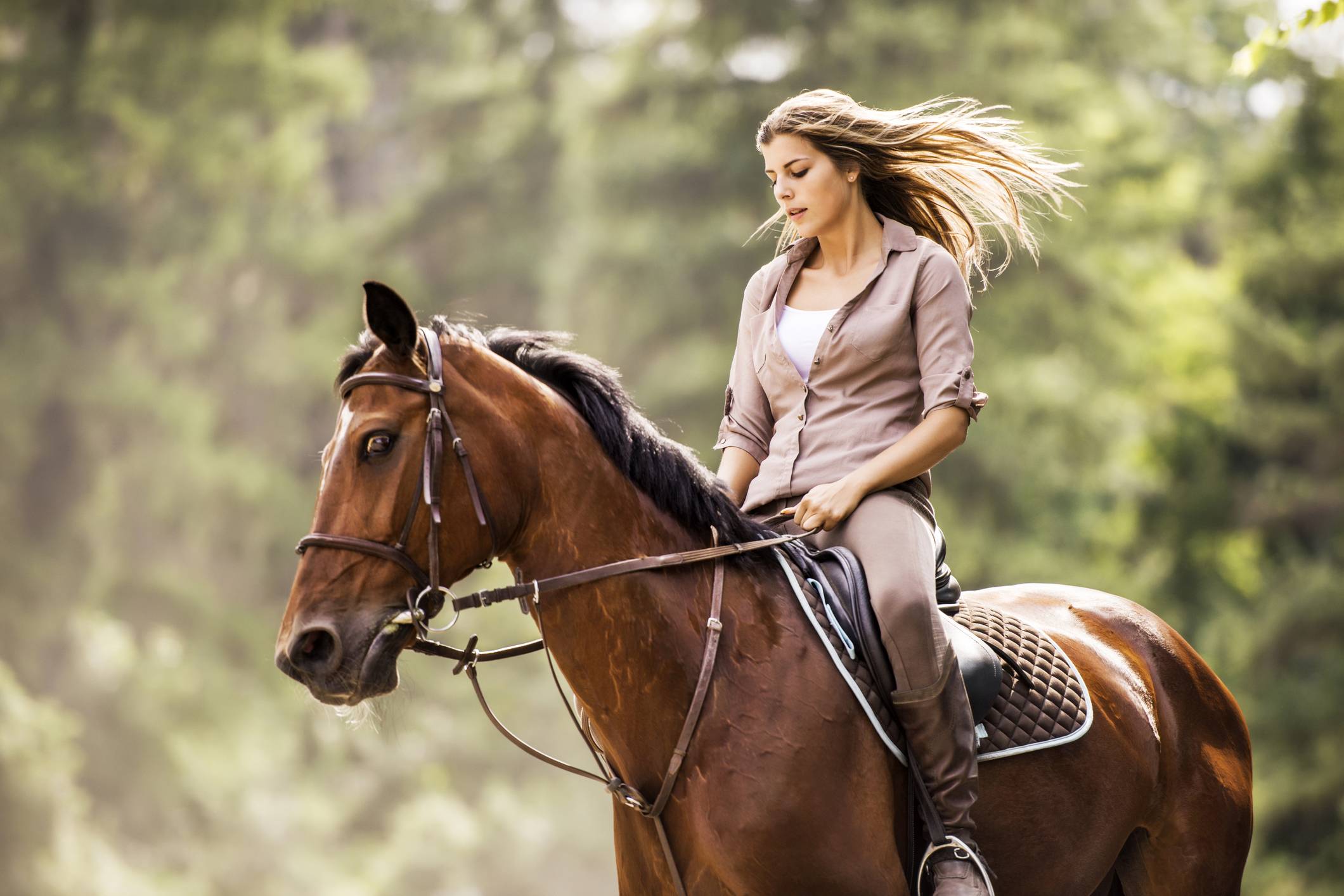 Как правильно ездить на лошади